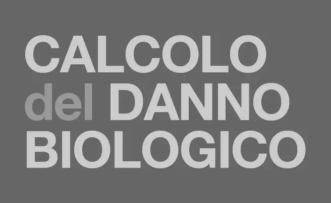 Calcolo danno biologico