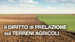 Il diritto di prelazione sui terreni agricoli