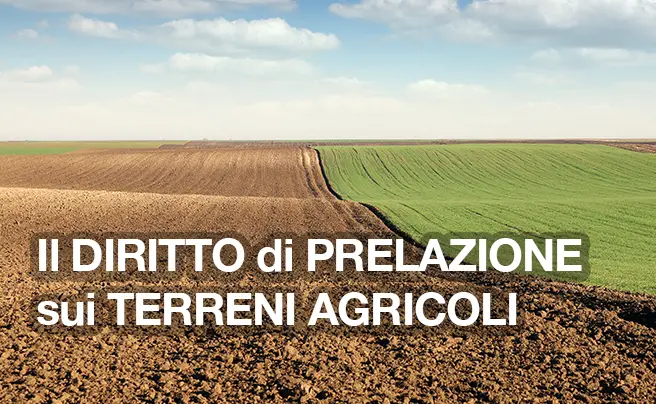 Il diritto di prelazione sui terreni agricoli