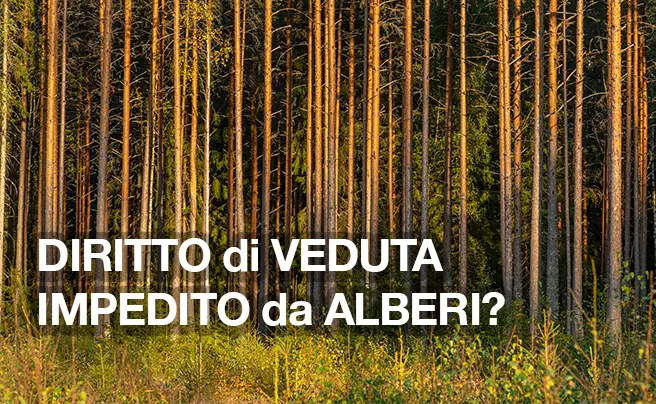 diritto di veduta impedito da alberi