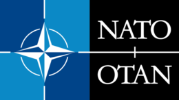 articolo 5 NATO