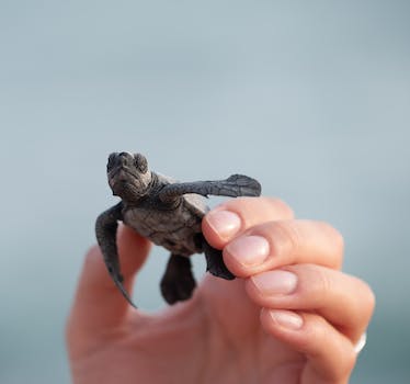 La tutela legale delle specie in via di estinzione