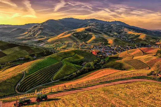 La rivalutazione del terreno agricolo per l'apertura di attività green farm