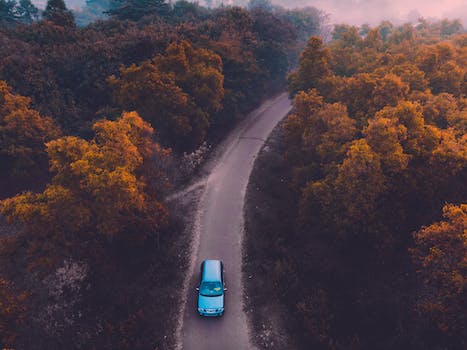 Auto elettriche, una scelta vincente: i pro della mobilità a emissioni zero